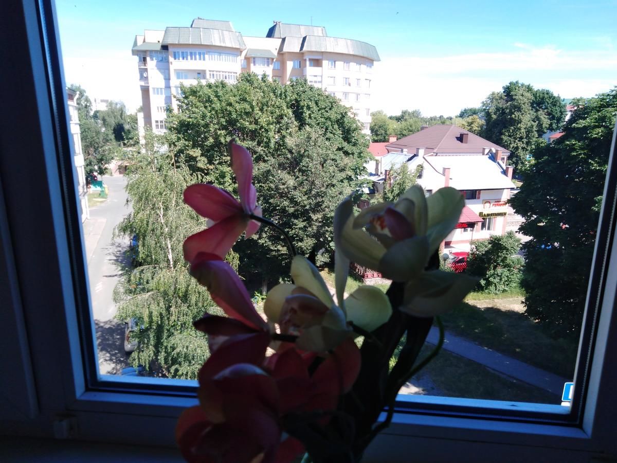 Апартаменты Apartment on Lenina Барановичи-38